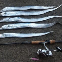 深日港に行ったけど!ダメそうやったので和歌山方面へ