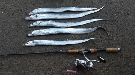 深日港に行ったけど!ダメそうやったので和歌…