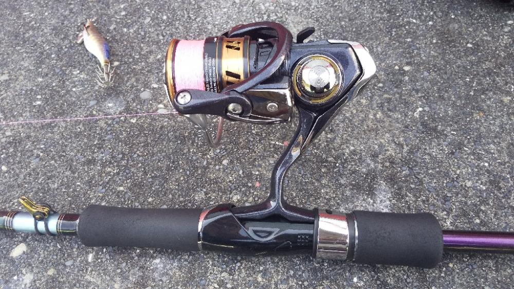 久しぶりのエギング