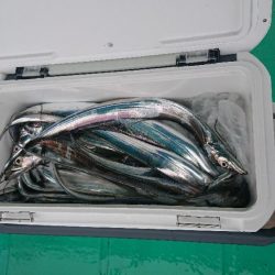 タチウオテンヤチャレンジ