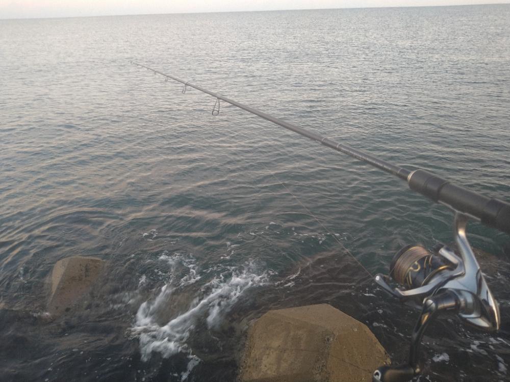 越前海岸テトラエギング