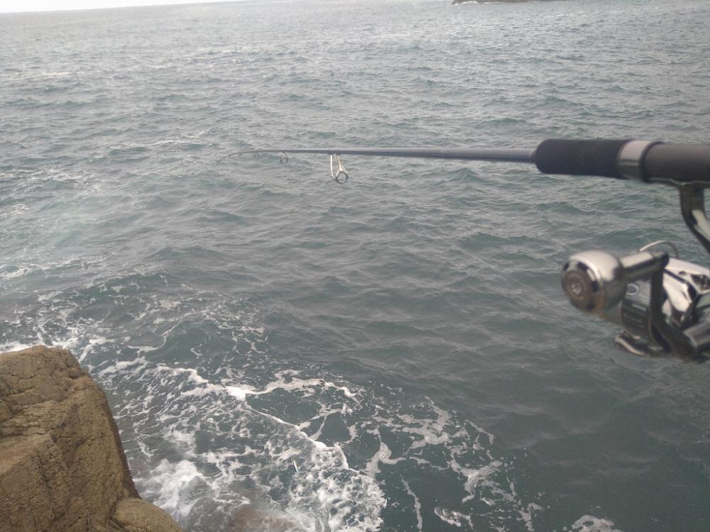 デイロックでカマシング