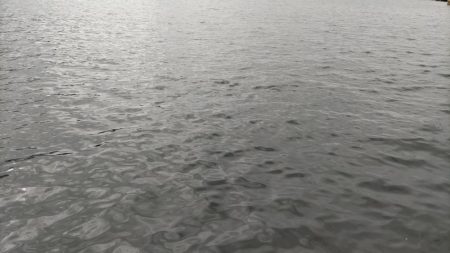 シロギスはしぶい、、、居ない