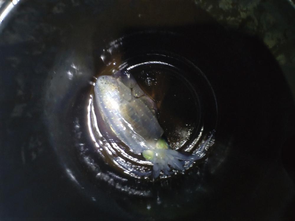 スランプのティップラン