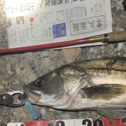 久しぶりのウェーディング