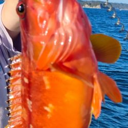 ソフトルアーでアカハタ◎長栄丸