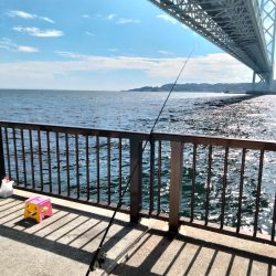 ファミリーフィッシング