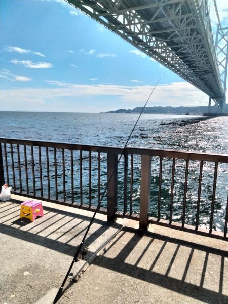 ファミリーフィッシング