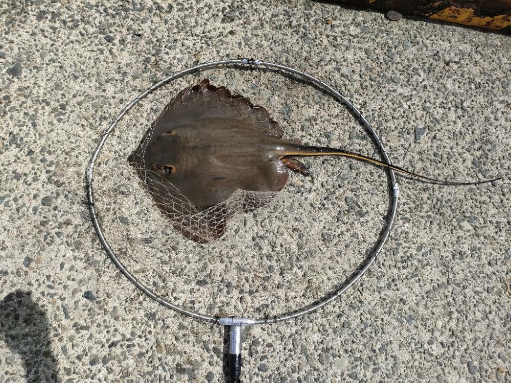 貝塚人工島水道側北詰