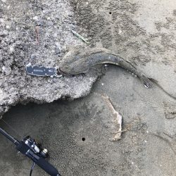 ライトソルトゲーム#01