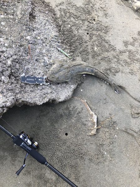 ライトソルトゲーム#01