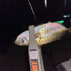 SoaRe XTUNEでの初アジ