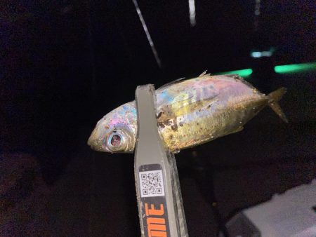 SoaRe XTUNEでの初アジ