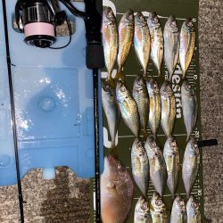 ブルーカレント JHspecial62/TZ NANOでアジング