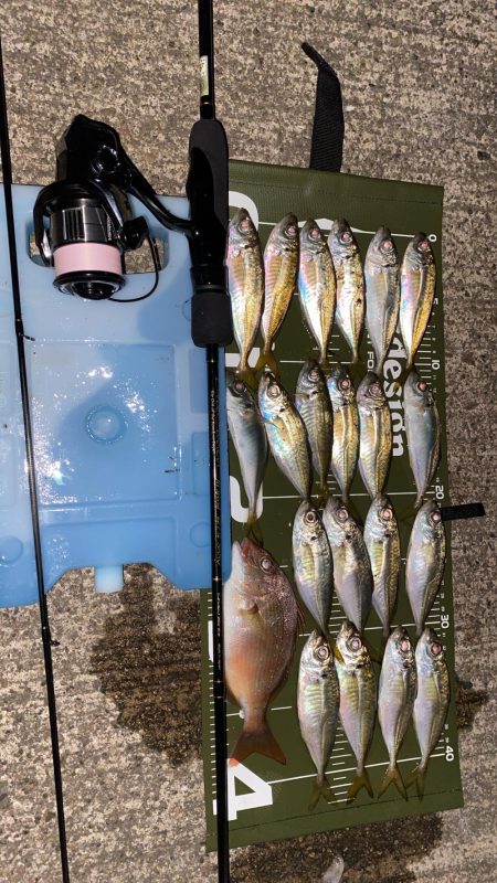 ブルーカレント JHspecial62/TZ NANOでアジング