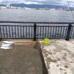 ブリ～　にあと少し