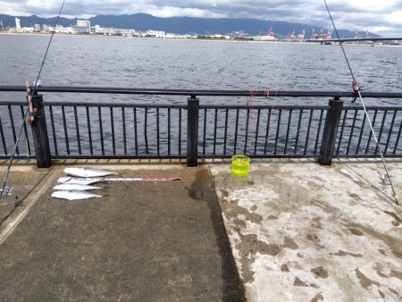 ブリ～　にあと少し