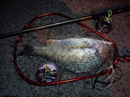 2023/09/01 南港ヘチ釣り釣行