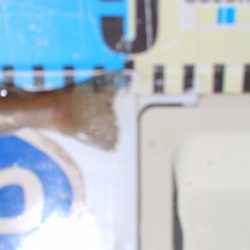 厳しい釣行でした