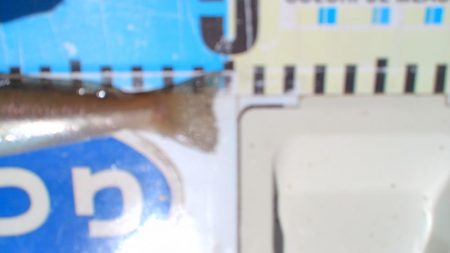 厳しい釣行でした