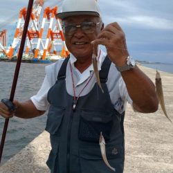 暴風の播磨新島釣行