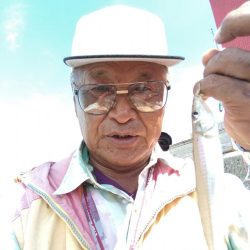 食い込みが悪くなった近場のキス
