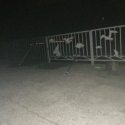 貝塚で釣り調査