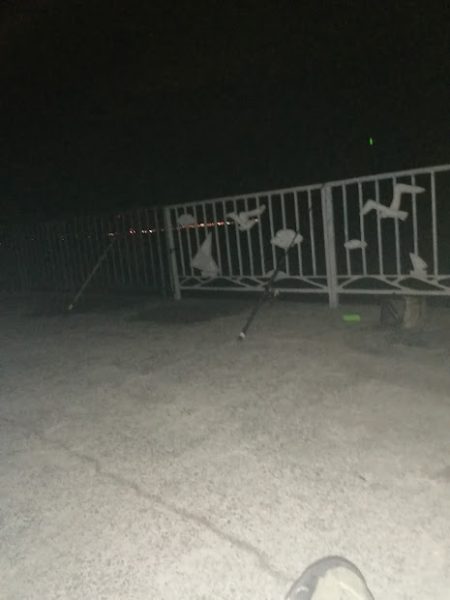 貝塚で釣り調査