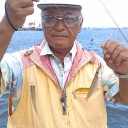 強烈なエサ取りでした