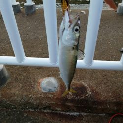 サゴシのお祭り会場にて