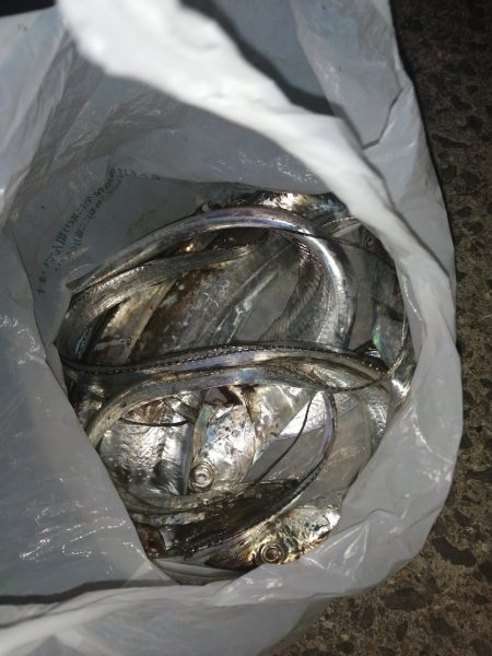 平日夜の刀狩り