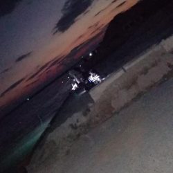 夕マヅメは高活性