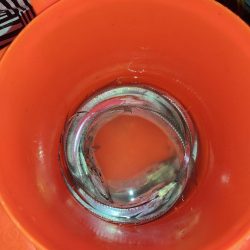 初挑戦タチウオ釣り！