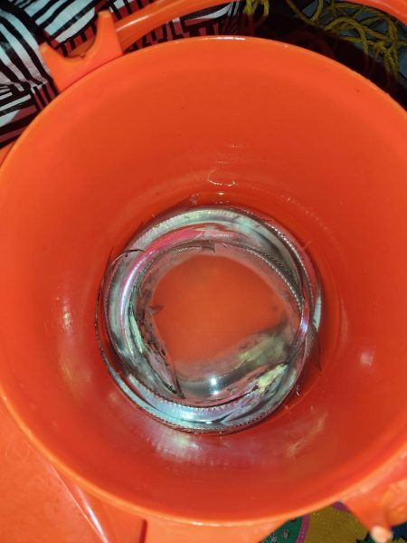 初挑戦タチウオ釣り！