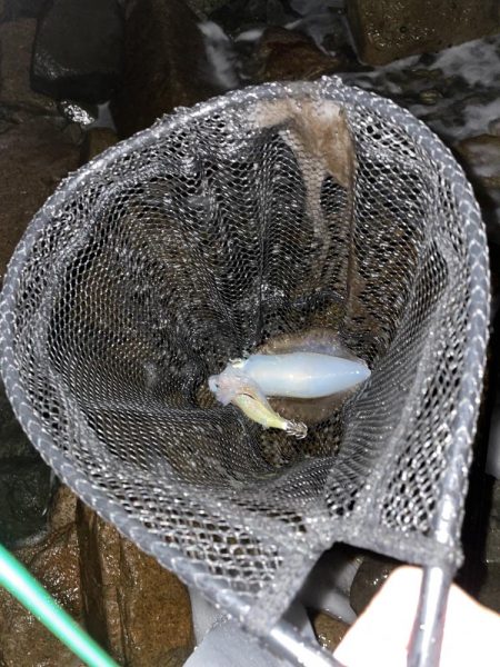 雨は意外と好き！