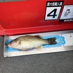 北山田小バス祭り