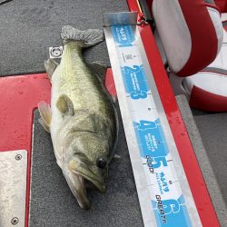 北山田ロクマル