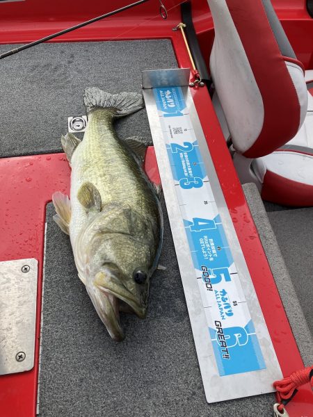 北山田ロクマル