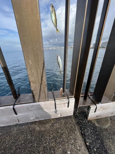 アレ達成ならず