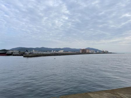 小さいけど久々の青物