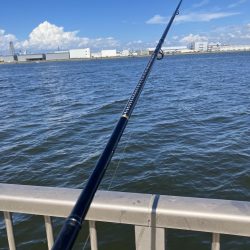 ファミリーフィッシング