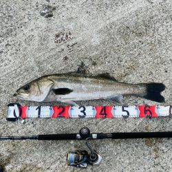 今日はゲット^_^