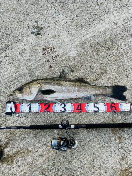 今日はゲット^_^