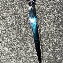 今シーズン初タチウオ