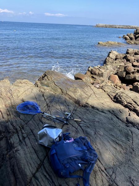 釣りキャンでイカゲット