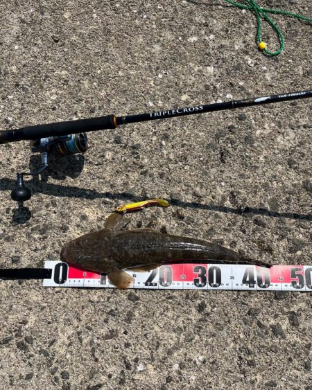 マゴチイベント