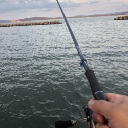 まだまだ黒鯛狙い