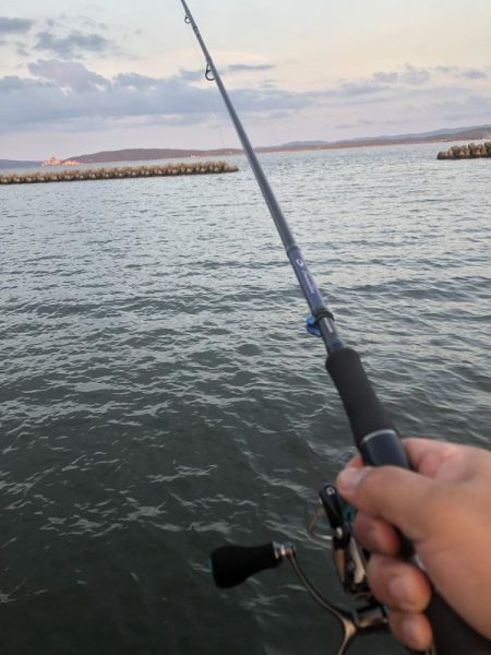 まだまだ黒鯛狙い