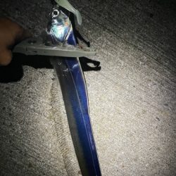 サイズアップしてます