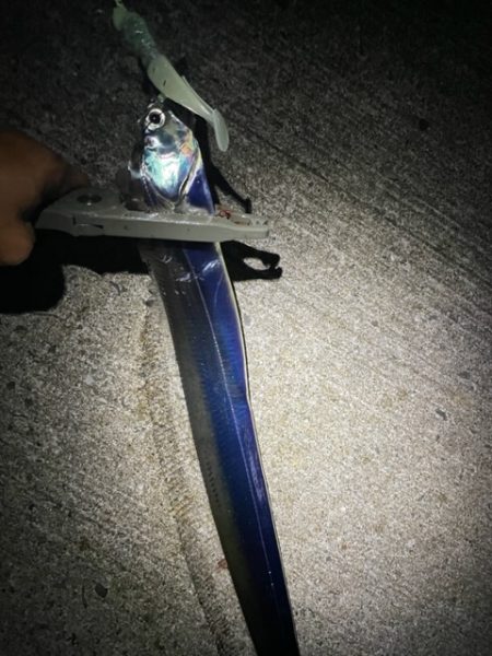 サイズアップしてます